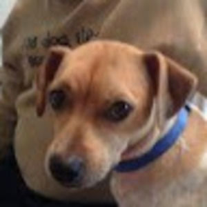 Meet your Posher, Viviana